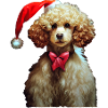 Poodle Christmas
