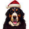 Bernese Mountain Dog Christmas