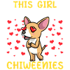 Chiweenie Dog