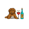 Cavapoo Cavoodle Capoodle Dog