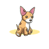 Chiweenie Chien