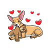 Chiweenie chien avec peluche