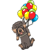 Wire-haired Dachshund Dog On Balloons