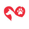 Animal welfare dog adopted