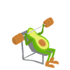Avocado