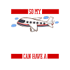 Flight attendant stewardess cat