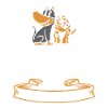 Veterinarian Veterinary Cat