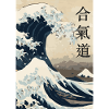 vague aikido