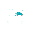 Schildkröte Turtle Meer Meeresbewohner Geschenk