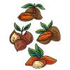Pecans Almonds Chestnuts Nuts