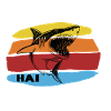 Hai