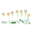 7 FLOWERS