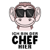 Cool Affe Chef