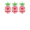 Pineapple's Heart