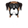 Hund Deutscher Boxer Cool Chef