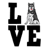 Alaskan Malamute