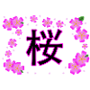 Sakura Kanji