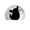 Chinchilla Moon Woolly Mouse