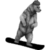 Snowbearder