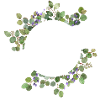 Wreath Rustic Eucalyptus Lavender