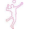 Fistball Joueur de volleyball masculin