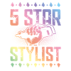 5 Star Stylist