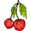 Cherries