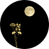 Full Moon