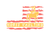 Chevaux Vaulting America Riding