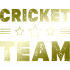 Cricket Team