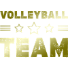 Volleyball Team