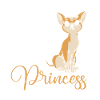 My cute prince Chihuahua