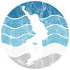 Skateboard Skateboarder Skater Skate Skateing