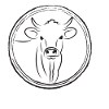 Horn cow / Swiss cow