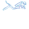 Diver Diving Scuba Diving