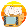 Cat Tv Sunset