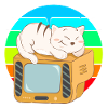 Cat Tv Sunset