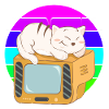 Cat Tv Sunset
