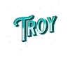 Troy name personalized