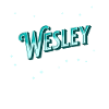 Nom Wesley personnalisé
