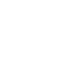 Bonsai tree Bonsai