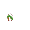 Bonsai tree Bonsai