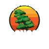 Bonsai tree Bonsai