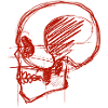 Red Skull