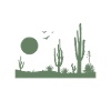 Desert desert landscape