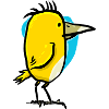 Bird with large beak