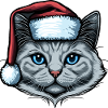 Wunderschöne Katze mit Weihnachtshut