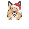 Shetland Sheepdog Joyeux Noël