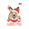 Shetland Sheepdog Joyeux Noël