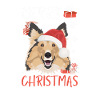 Shetland Sheepdog Joyeux Noël